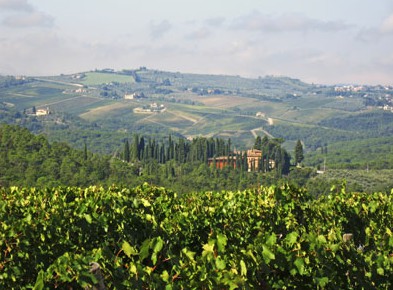 The Villas and Vineyards of Tuscany
