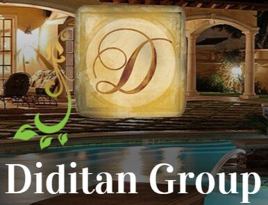 diditan group logo