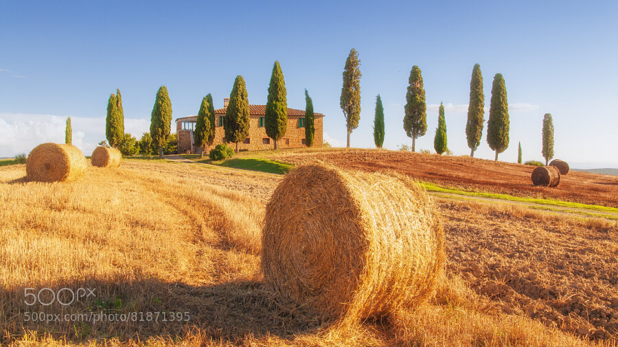 Spectacular View of the Tuscan Landscape Pienza Italy