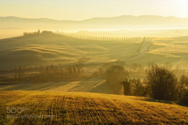 Gold Countryside Next to Heaven